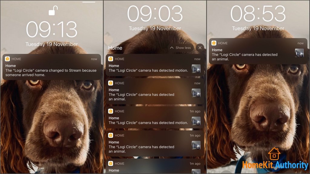 HomeKit Secure Video notifications