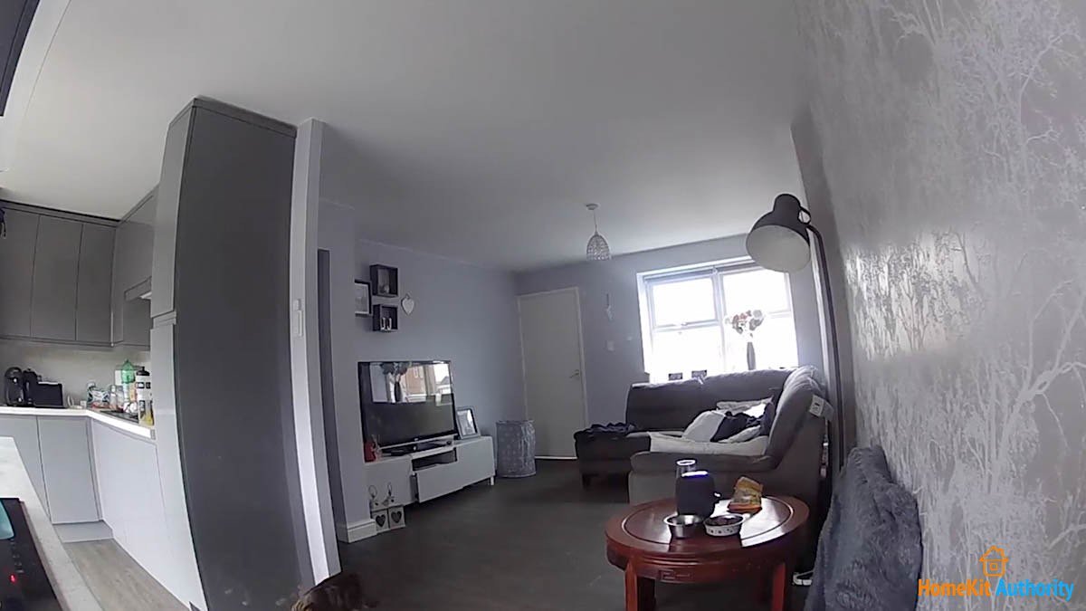 Circle View video