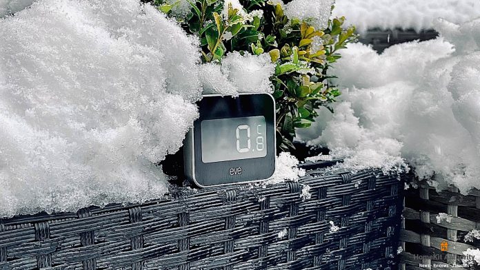 Eve Degree in the snow