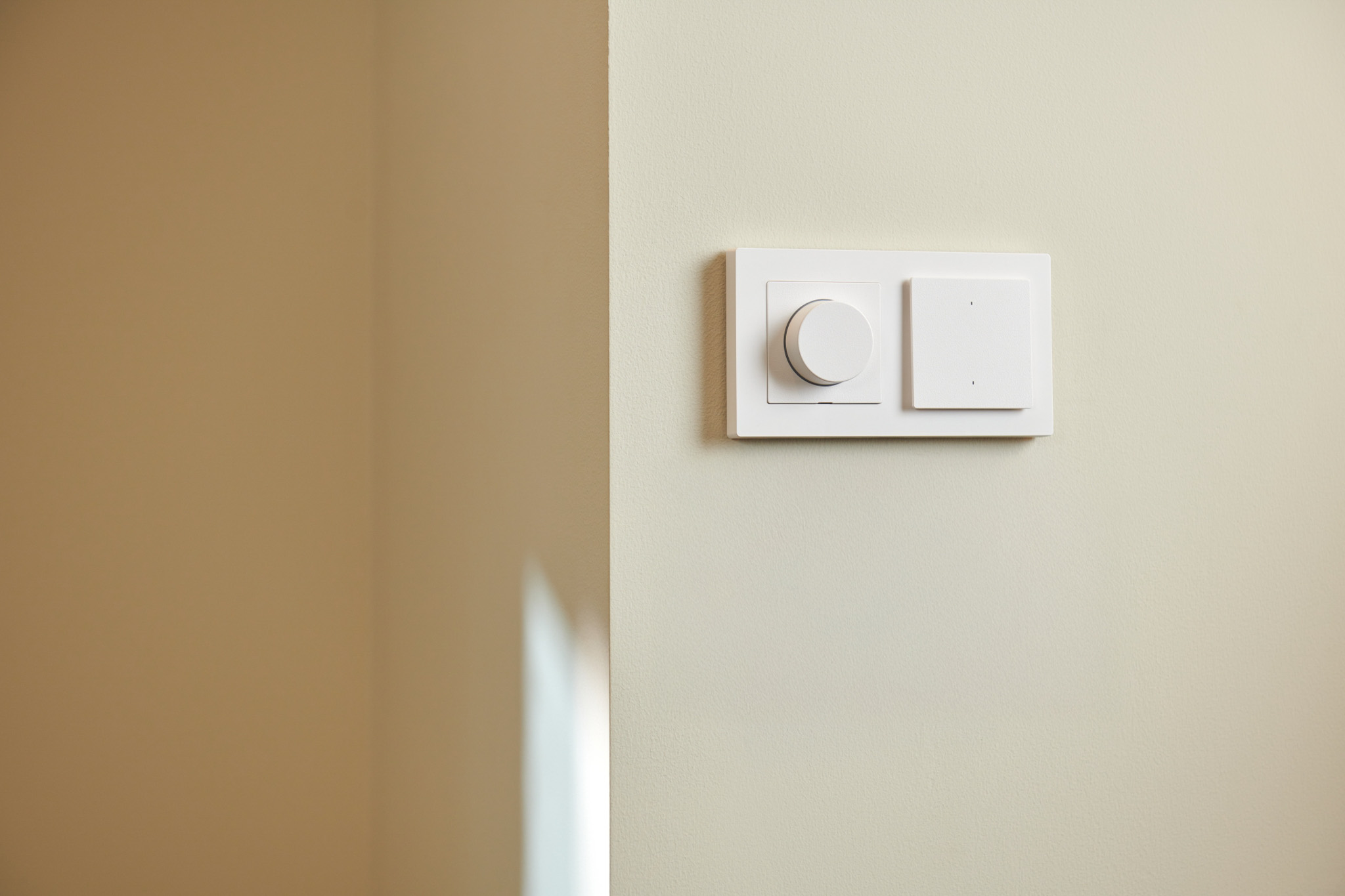Light Switch H2 EU & Dimmer Switch H2 EU